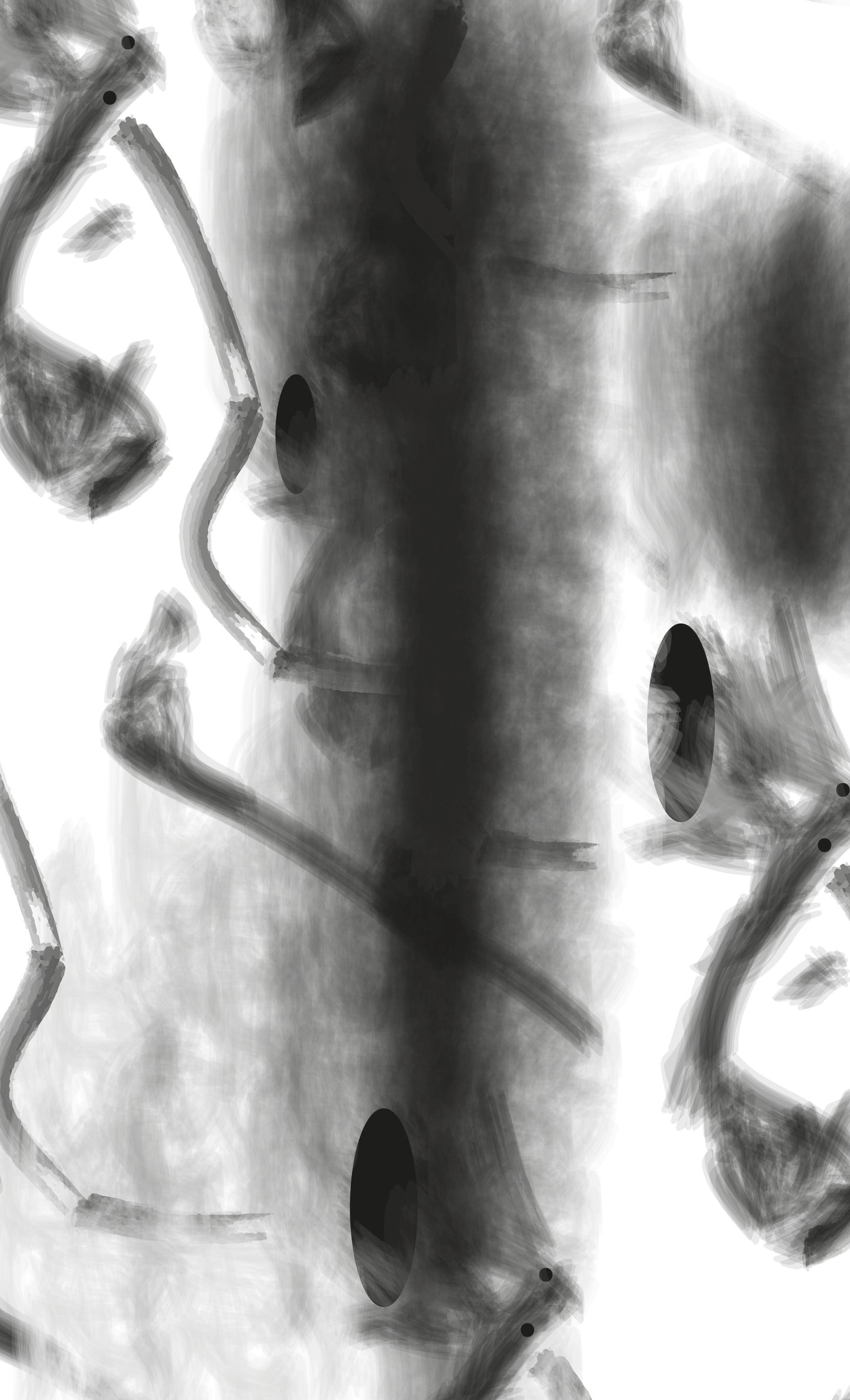 Serie àngeles caidos I